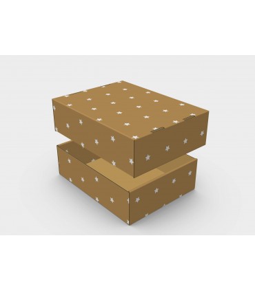 CAJA MULTIUSOS ECO 42,5x31,7x12,3