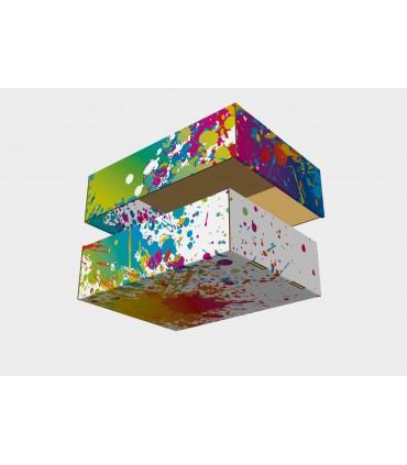 CAJA MULTIUSOS CLASS 42,5x31,7x12,3