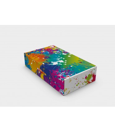 CAJA MULTIUSOS CLASS 58,7x33,4x13