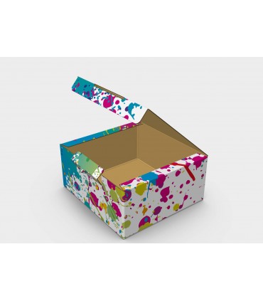 CAJA MULTIUSOS CLASS 26,1x24,4x12,2