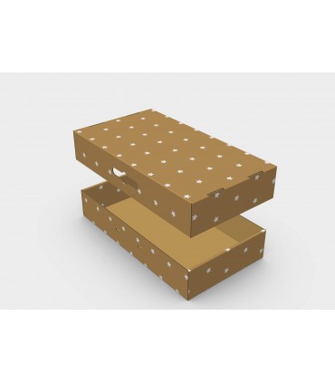 CAJA MULTIUSOS ECO 62,2x33,8x11,3