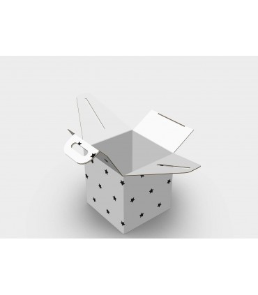 CAJA PICNIC 21,5x21x22,7