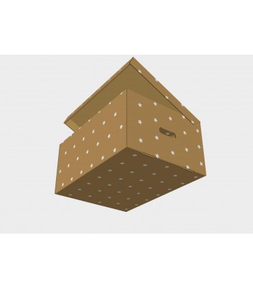 CAJA MULTIUSOS ECO 55,7X41,8X26,5