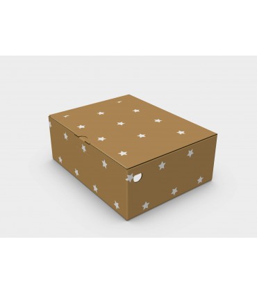 CAJA MULTIUSOS ECO 32x25,3x12,2