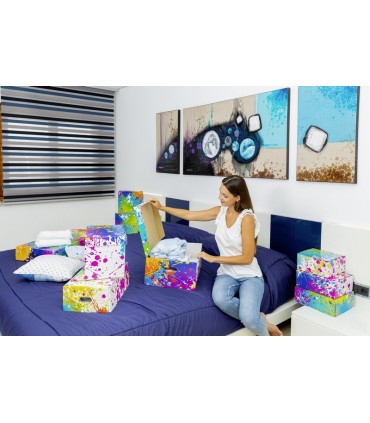 CAJA MULTIUSOS CLASS 45,4x26x15