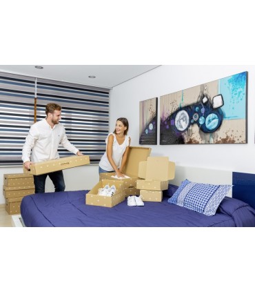 CAJA MULTIUSOS ECO 52,4X29X11,1