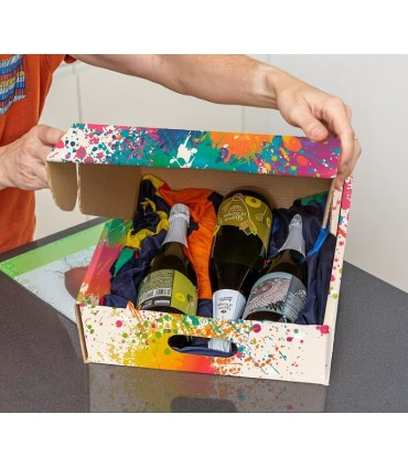 CAJA MULTIUSOS CLASS 36,5X35,5X17,7